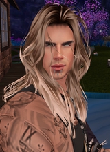 GenGiaNMODEL