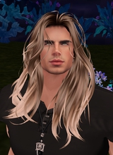 GenGiaNMODEL