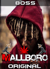 Guest_IMallboro