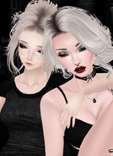 Guest_AsteriaNocte