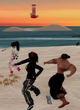 Guest_littlealicewolf