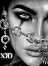 x3D