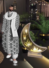 hawkAlmasry