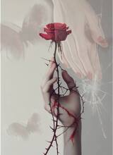 immagine avatar