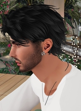 Guest_vascogiov