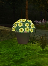 Guest_senzualmen