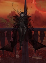 WinonAiluros