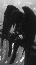 IBlackPoisonI