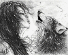 Canvas: louveloup