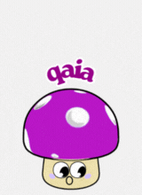 qaia