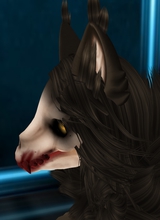 xXxDarkestqueenxXx