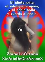 DjZainaBrandT