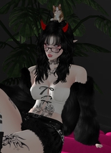 blackwolfs