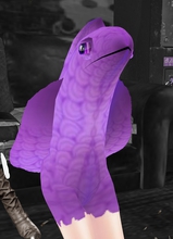 H0lyKn0wl3dge