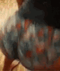 xDatOnex
