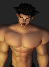 Bara