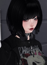 Guest_u9lydOll