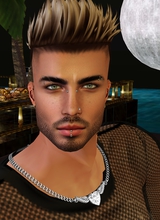 BERTWIN