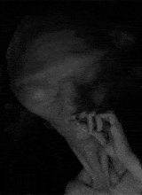 Guest_XxXTrissPriorXxX