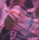Guest_xXYFNSOSAXx1