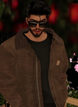avpic