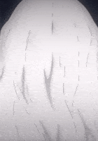 ROF