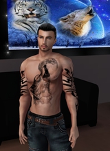 MrWolfDreamer