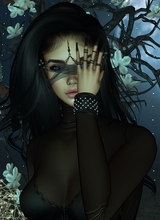 avatar picture