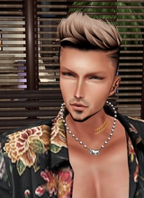 Guest_koala597