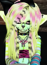 TimidlyToon