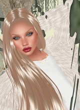 avatar picture