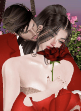 Guest_ibrahim185