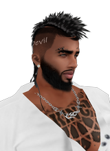 immagine avatar