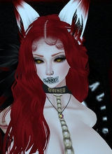 LordVixenUzumaki