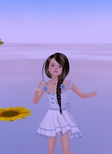 IrisRoseBlue