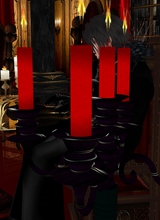 avatarbild