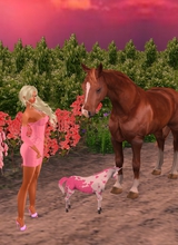Ladyskydansa