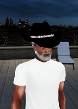 DevilCat33