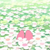loccjaww
