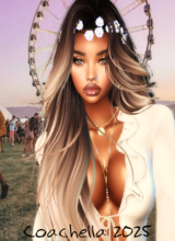 DayDesigns