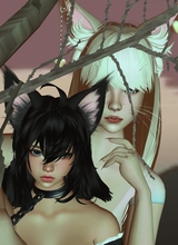 immagine avatar