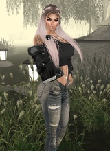 avpic