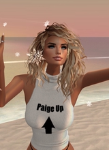 Paige2Dot0