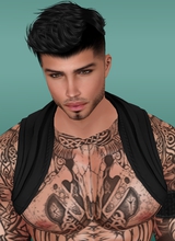 DjCleberfox1
