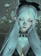 Saeris