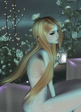 Saeris