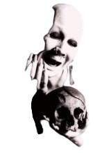 Erratico