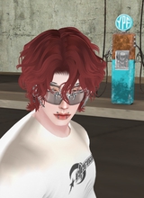 Guest_bike18