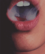 Guest_Whistles2