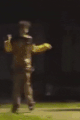 Zirkishere